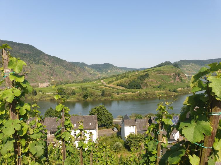 Foto van omgeving van Vakantiehuis Ediger-Eller