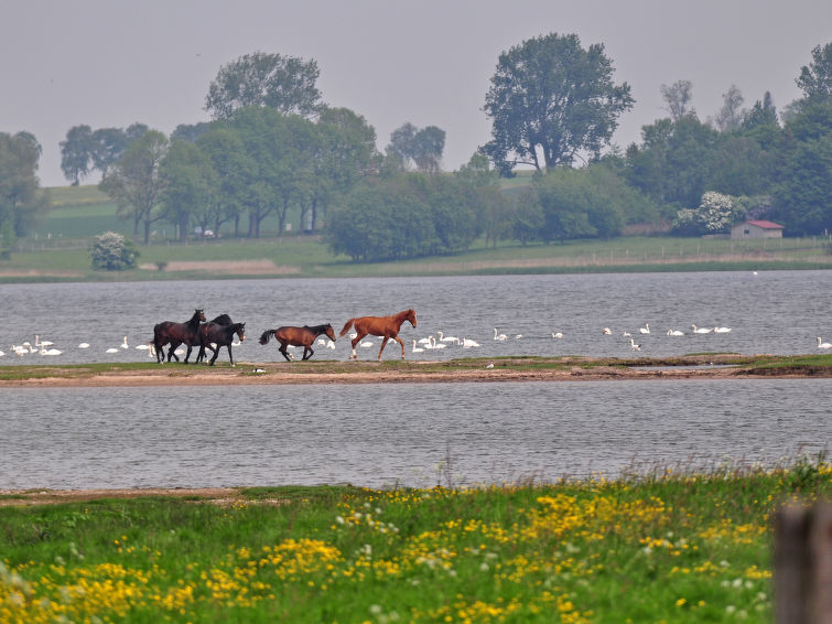 Foto van omgeving van Appartement Gollwitz (Insel Poel)