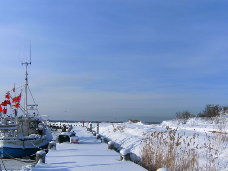 Foto van omgeving van Vakantiehuis Gollwitz (Insel Poel)in de winter