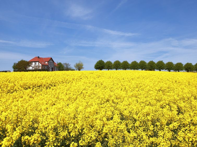 Foto van wonen van Vakantiehuis Gollwitz (Insel Poel)