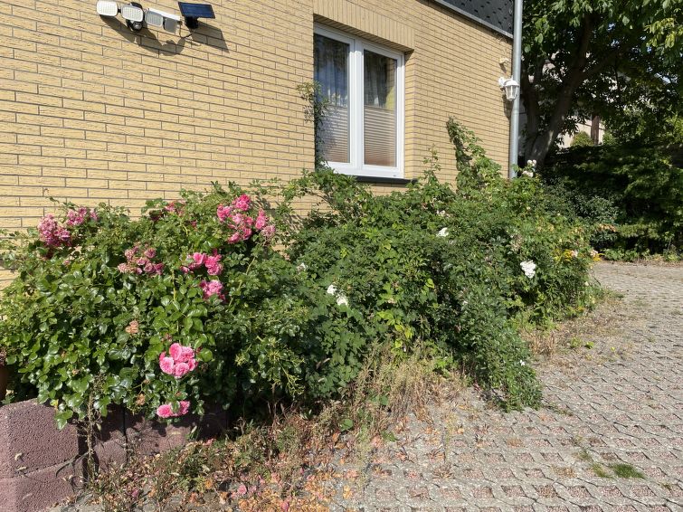 Foto van exterieur van Appartement Waren