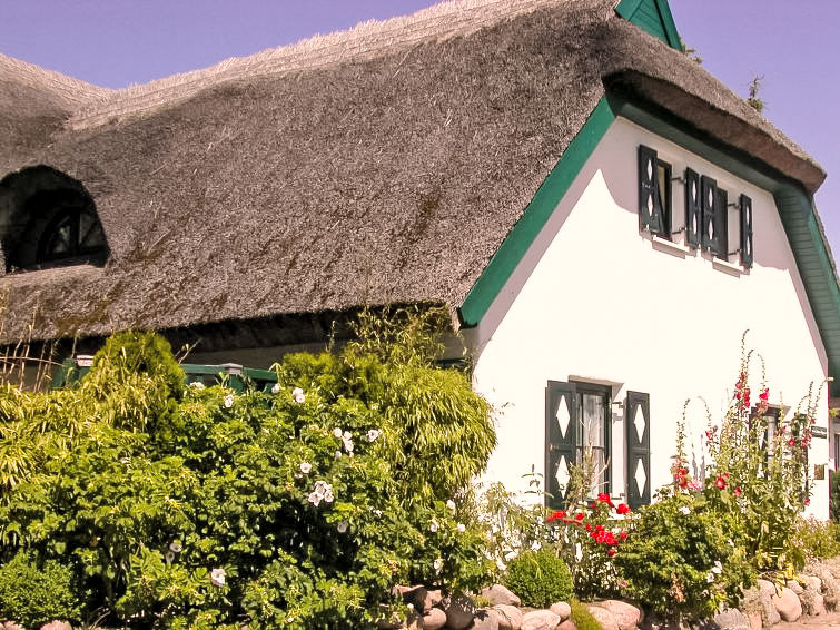 Foto van wonen van Vakantiehuis Groß Zicker Foto van wonen van Vakantiehuis Groß Zicker