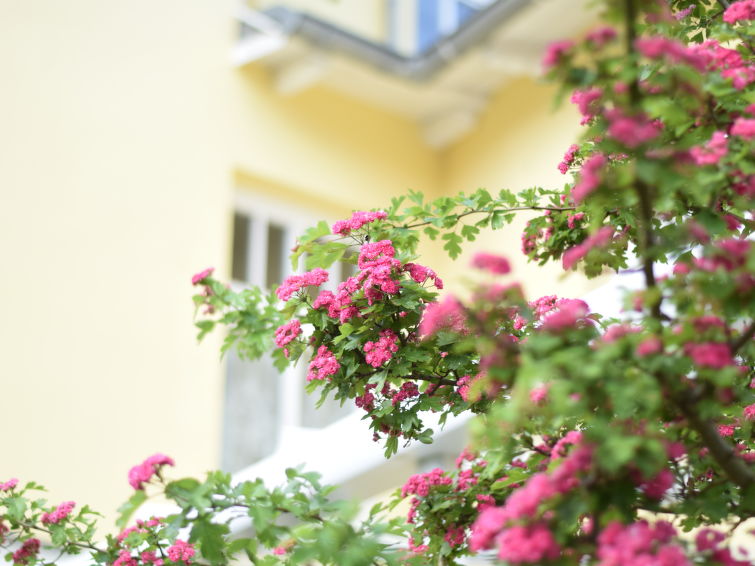Foto van exterieur van Appartement Ostseebad Sellin