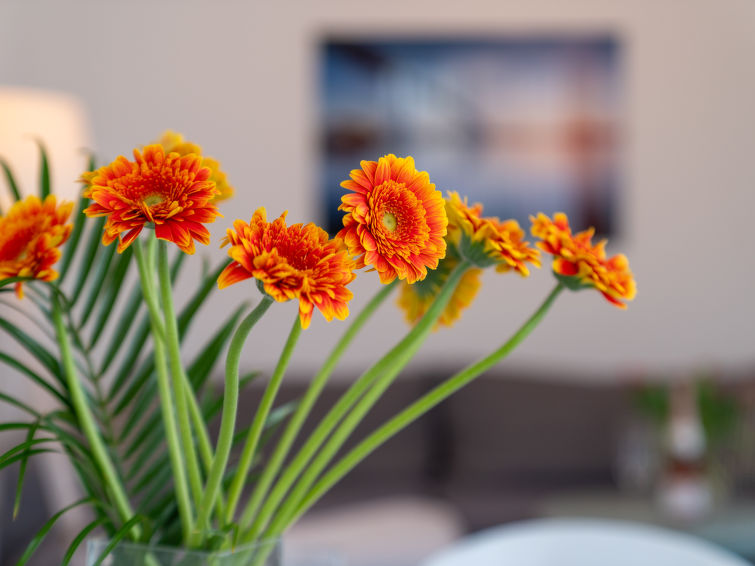 Foto van exterieur van Appartement Ostseebad Sellin
