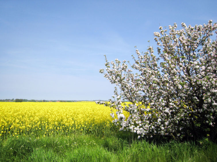 Foto van omgeving van Vakantiehuis Schwarbe