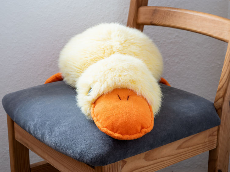 Foto van wonen van Appartement Norddeich