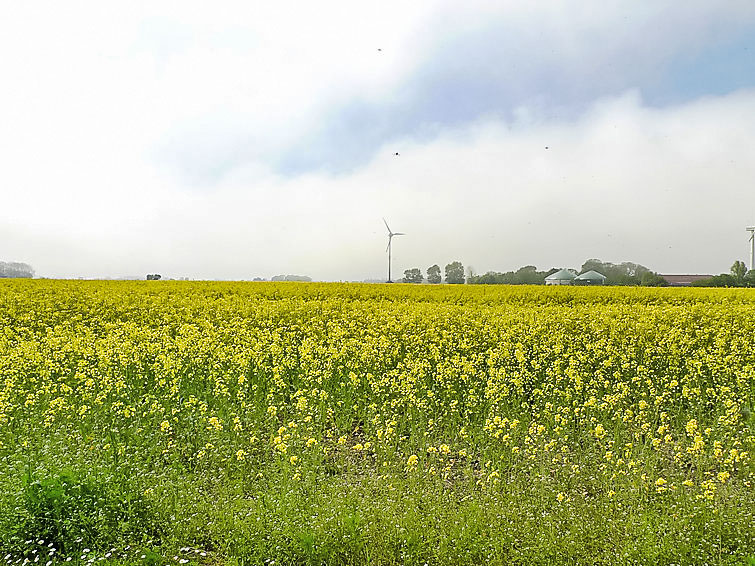 Foto van exterieur van Appartement Dornumersiel Foto van exterieur van Appartement Dornumersiel