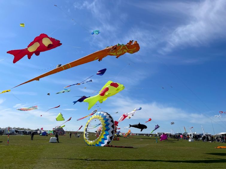 Foto van omgeving van Appartement Dornumersielin de winter Foto van omgeving van Appartement Dornumersielin de winter