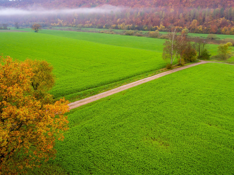 Foto van exterieur van Vakantiehuis Bodenfelde