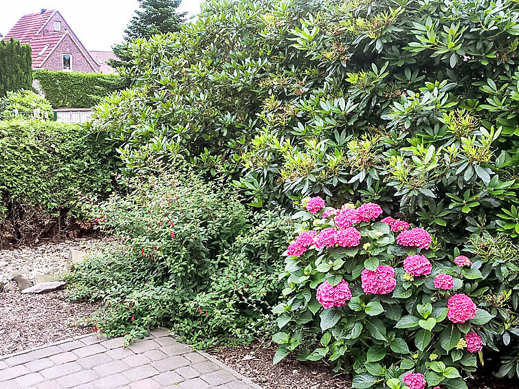 Foto van exterieur van Vakantiehuis Hage