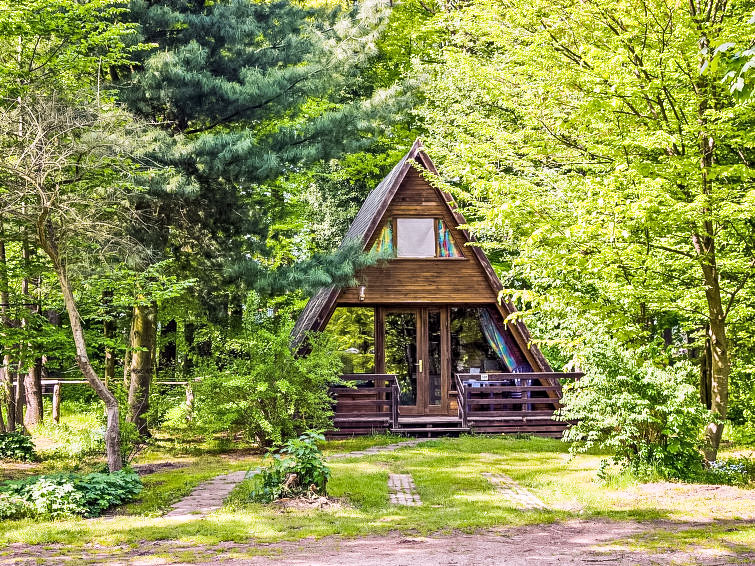 Gezellig Vakantiehuis Geesthof in het Hart van de Natuur | Out! Vakantiehuizen