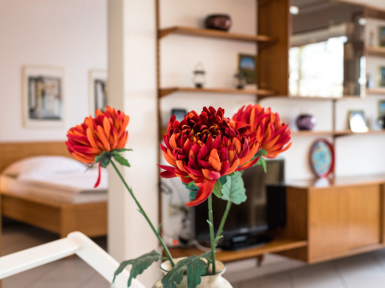 Foto van wonen van Appartement Lahnstein (Koblenz)