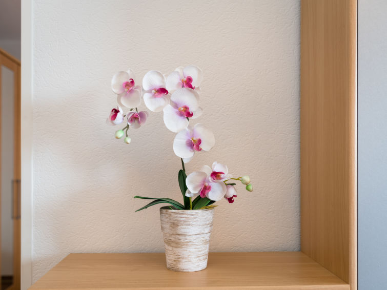 Foto van wonen van Appartement Lahnstein (Koblenz)