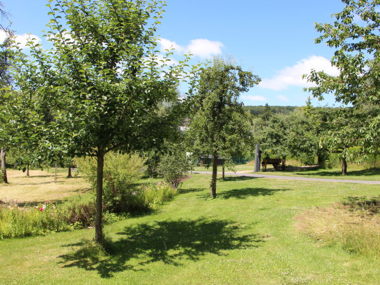 Foto van omgeving van Vakantiehuis Bad Marienberg