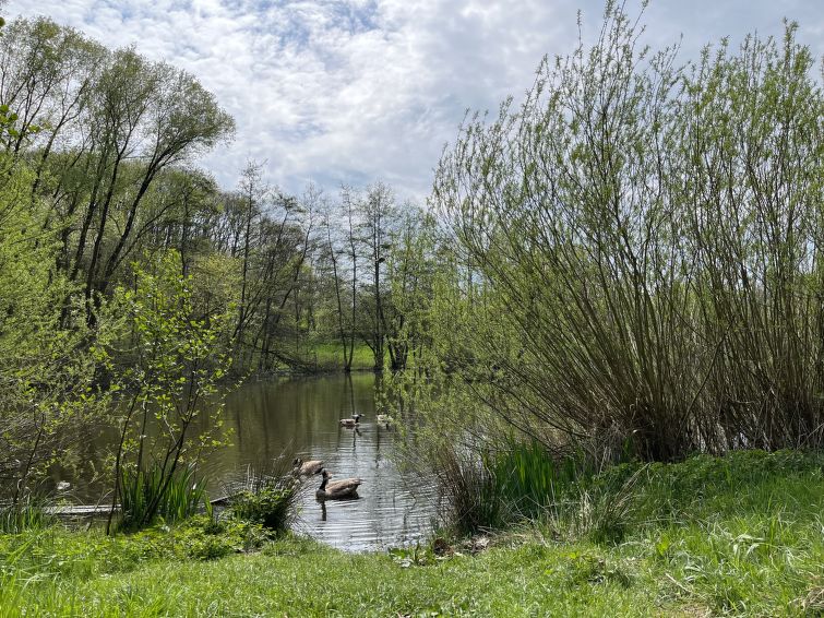 Foto van exterieur van Vakantiehuis Frankenau