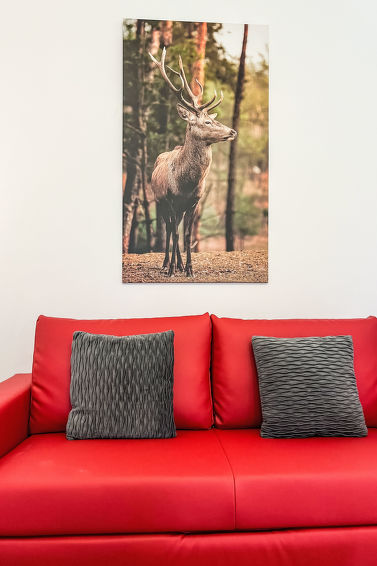 Foto van wonen van Appartement Frankenau