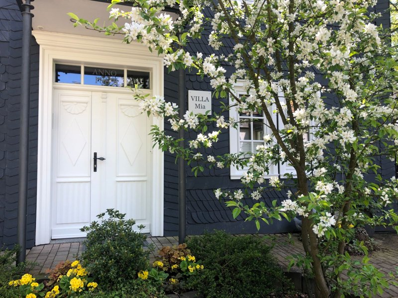 Exterieur D-SA-0189 Exterieur D-SA-0189