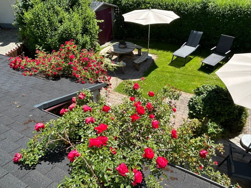 Exterieur D-SA-0189 Exterieur D-SA-0189