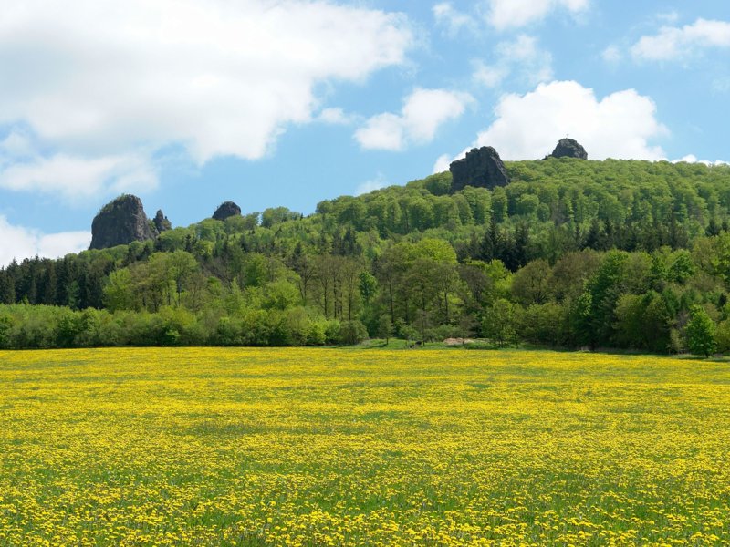 Exterieur D-SA-0189 Exterieur D-SA-0189