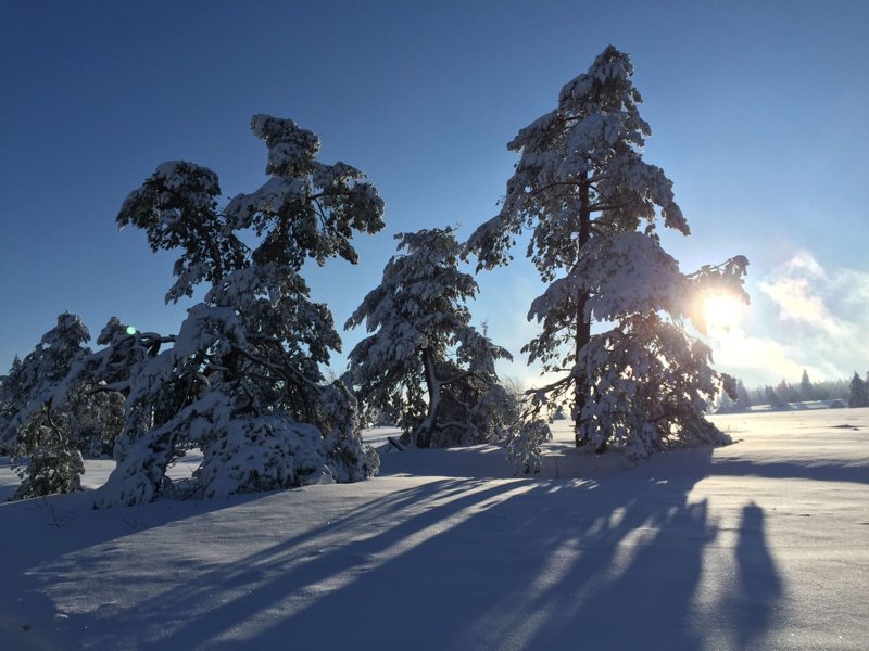 Exterieur D-SA-0189 Exterieur D-SA-0189