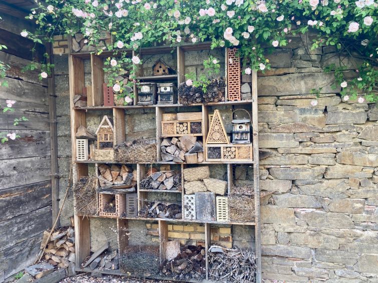 Foto van exterieur van Vakantiehuis Wurzen