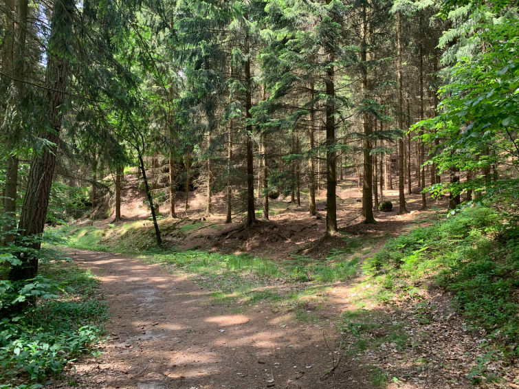 Foto van omgeving van Vakantiehuis Oybin