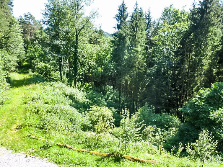 Foto van exterieur van Vakantiehuis Wolfach