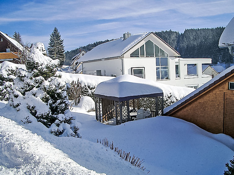 Foto van exterieur van Appartement Eisenbachin de winter