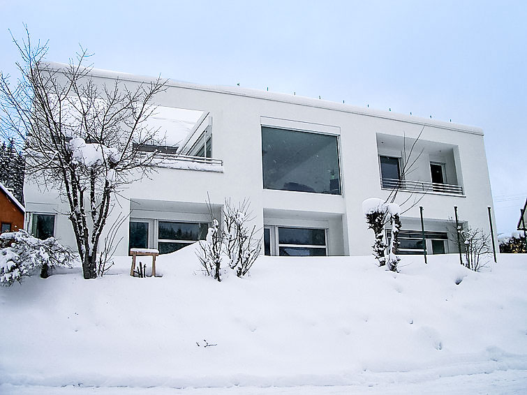 Foto van exterieur van Appartement Eisenbachin de winter