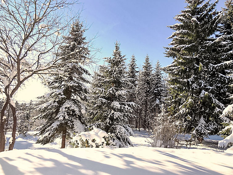Foto van exterieur van Vakantiehuis Dittishausenin de winter