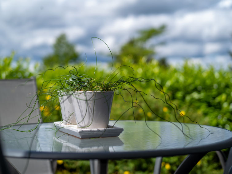 Foto van exterieur van Vakantiehuis Dittishausen