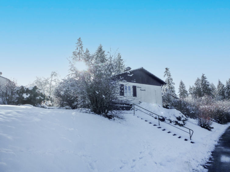 Foto van exterieur van Vakantiehuis Dittishausenin de winter
