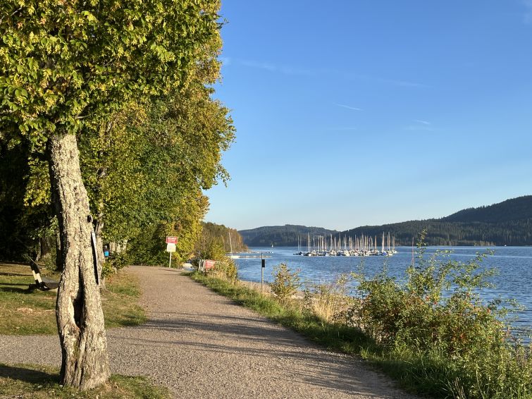 Foto van omgeving van Appartement Schluchsee
