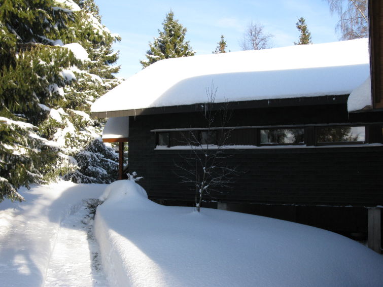 Foto van exterieur van Vakantiehuis Bernauin de winter
