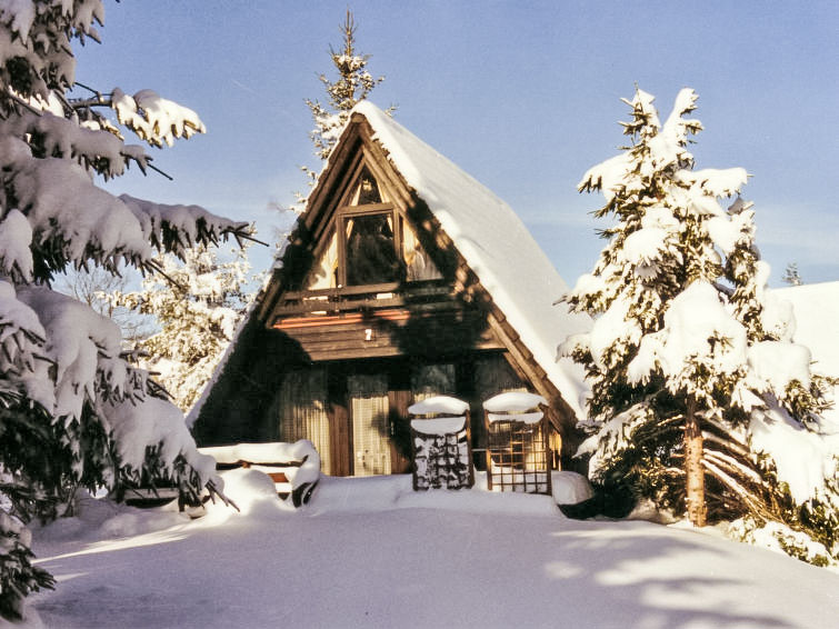 Foto van exterieur van Vakantiehuis Tennenbronnin de winter