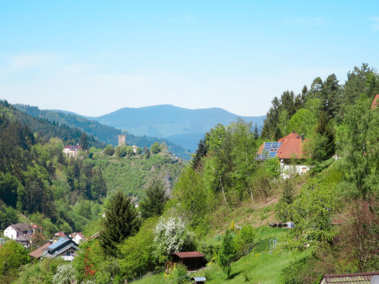 Foto van omgeving van Vakantiehuis Hornberg