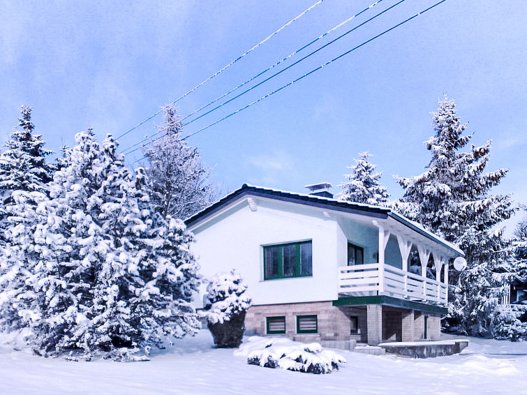 Foto van exterieur van Vakantiehuis Masserbergin de winter