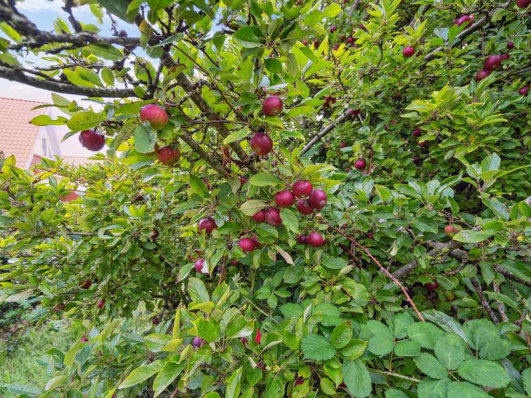 Foto van exterieur van Vakantiehuis Tønder Foto van exterieur van Vakantiehuis Tønder