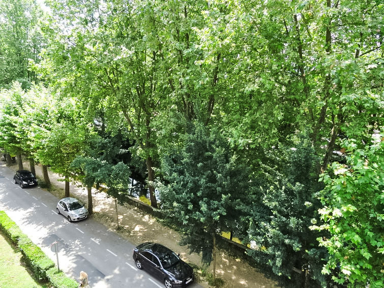 Foto van exterieur van Appartement Olot