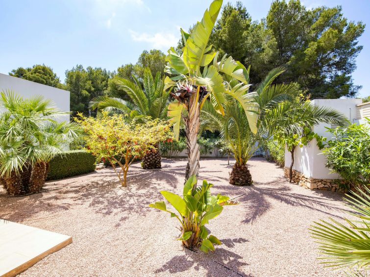 Foto van exterieur van Vakantiehuis Benissain de winter