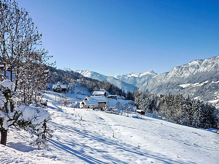 Foto van exterieur van Appartement Le Grand Bornandin de winter
