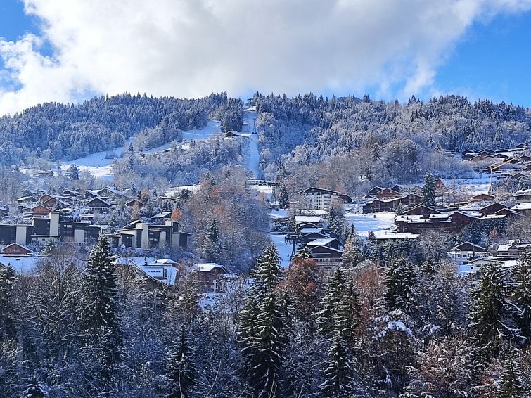 Foto van omgeving van Vakantiehuis Saint Gervaisin de winter