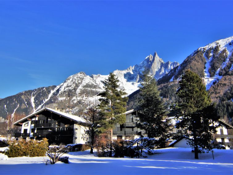 Foto van exterieur van Appartement Chamonix - Les Prazin de winter