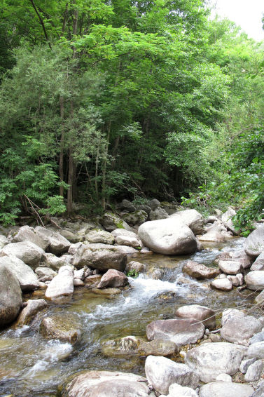 Foto van wonen van Vakantiehuis Valgorge