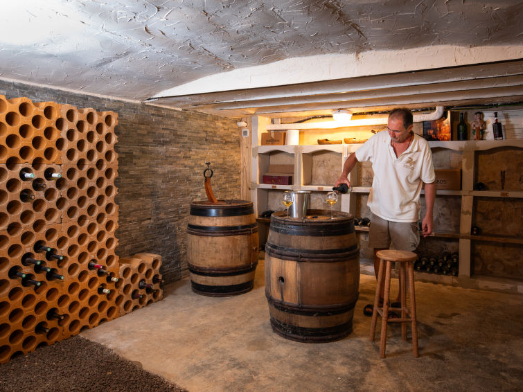 Foto van wonen van Vakantiehuis Epertully Foto van wonen van Vakantiehuis Epertully