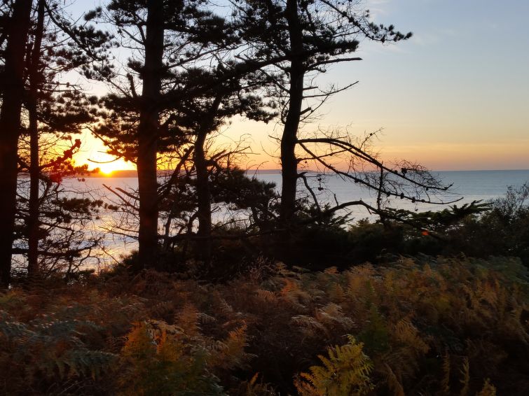 Foto van wonen van Vakantiehuis Ploumilliau