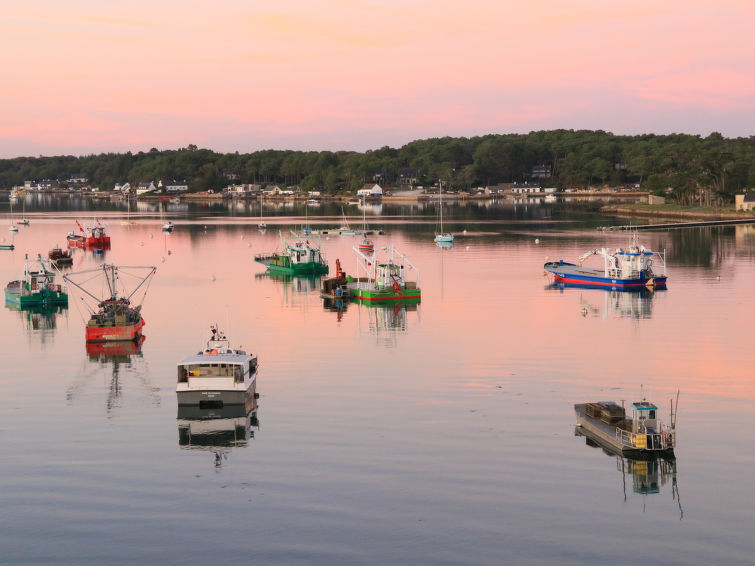 Foto van omgeving van Vakantiehuis La Trinité Sur Merin de winter Foto van omgeving van Vakantiehuis La Trinité Sur Merin de winter