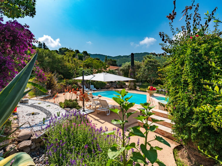 Ontdek Vakantiehuis Campestra in het Prachtige Corsica | Out! Vakantiehuizen