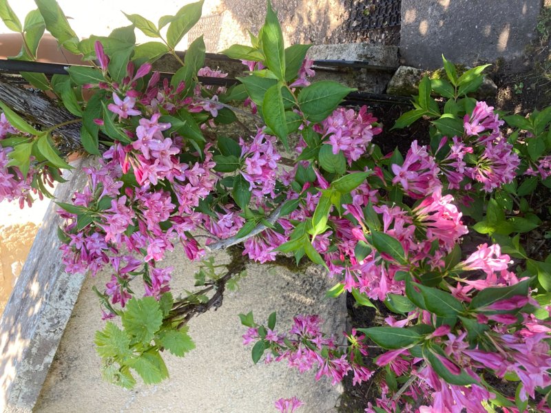 Exterieur F-DOR-0108