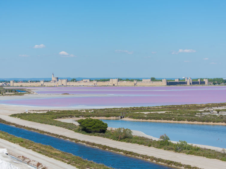 Foto van omgeving van Vakantiehuis Aigues Mortesin de winter